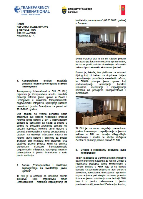 PARM Newsletter VI